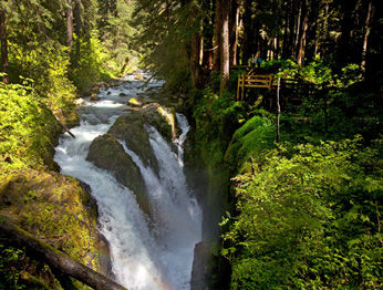 Sol Duc Hot Springs Hotel Port Angeles Exterior photo